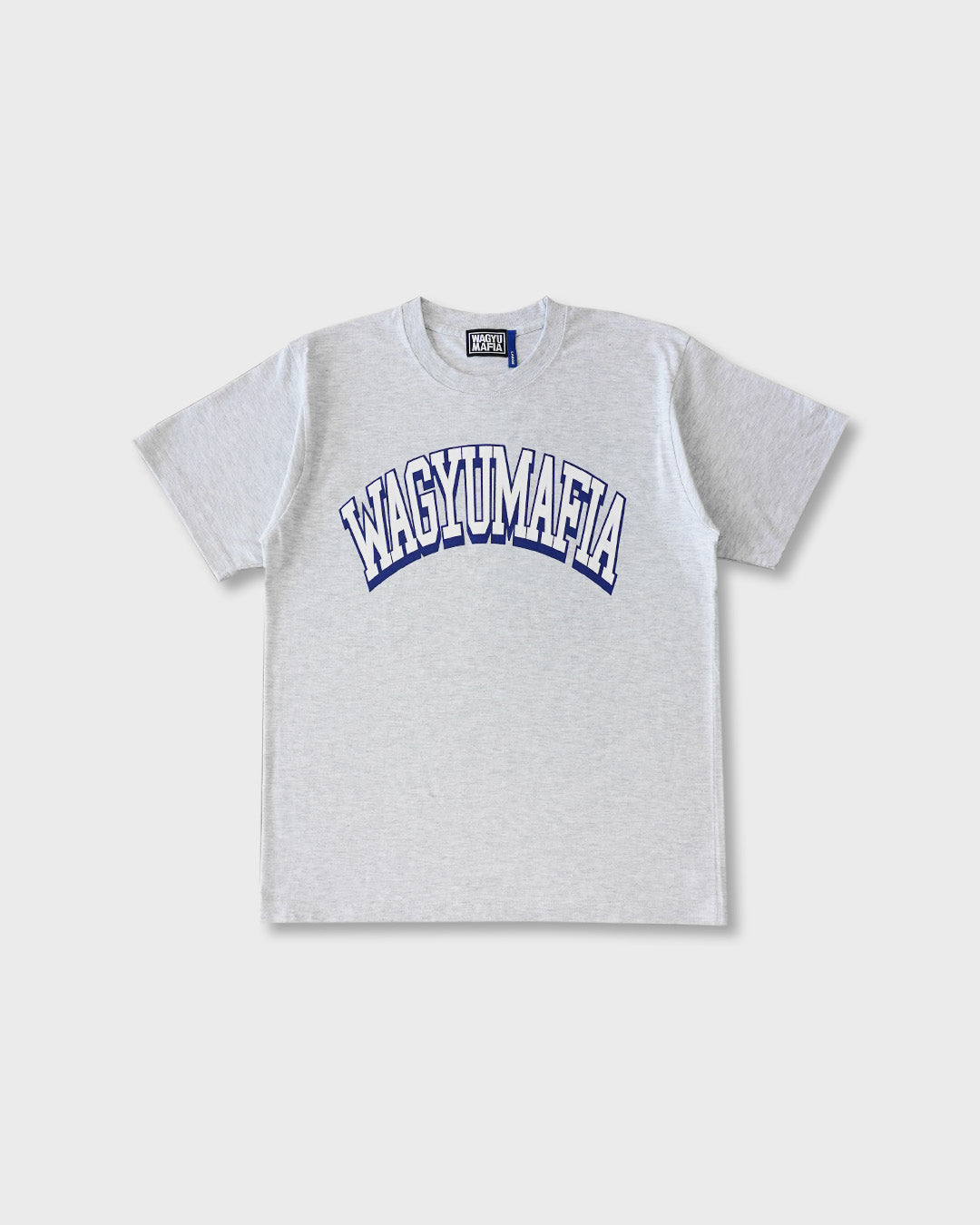 COLLEGE LOGO TEE GRAY